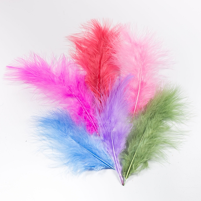 Assorted Colour Feathers, 5 Packets