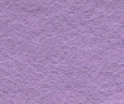Lilac V61