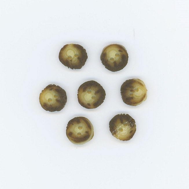 Jagged Edge Horn Button, 25pcs